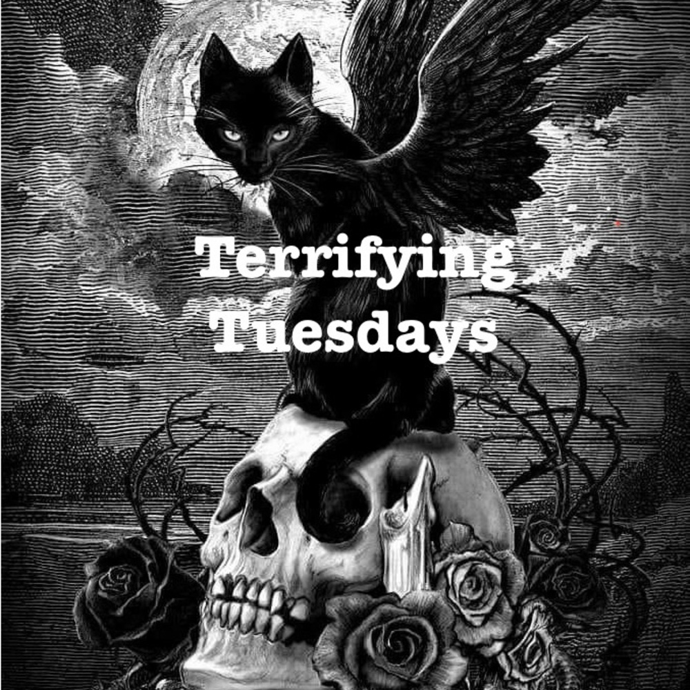 MK’s Terrifying Tuesdays!